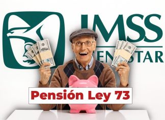 ¿Qué es la pensión IMSS Ley 73 y cómo funciona? Adulto mayor sonriente con dinero y logotipo del IMSS, ilustrando la pensión Ley 73 en México.