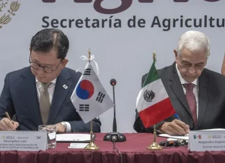 México y Corea fortalecen cooperación en innovación agroalimentaria México y Corea fortalecen cooperación en innovación agroalimentaria