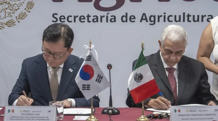 México y Corea fortalecen cooperación en innovación agroalimentaria México y Corea fortalecen cooperación en innovación agroalimentaria