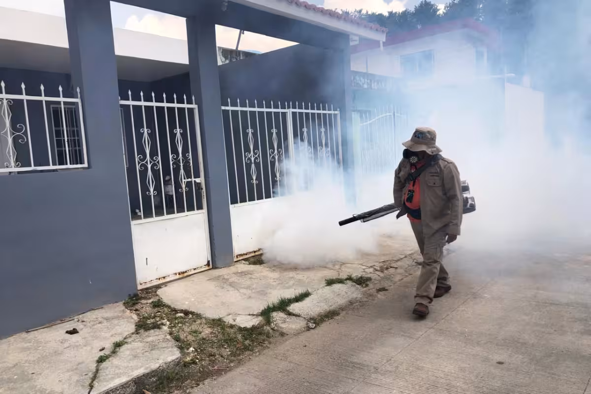 Quintana Roo tiene el 80% del dengue de la Península y un tercio de sus casos son graves: lo que el turismo no cuenta Quintana Roo tiene el 80% del dengue de la Península y un tercio de sus casos son graves: lo que el turismo no cuenta
