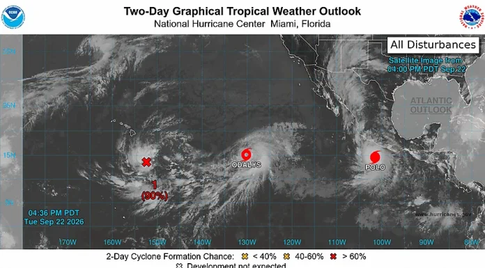 Odalys alcanzará categoría de huracán en el Pacífico este miércoles Mapa de sistemas activos en el Pacífico oriental