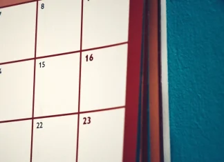 Días festivos de noviembre 2026: cuáles son de descanso obligatorio y cuánto te deben pagar Días festivos de noviembre 2026 en México